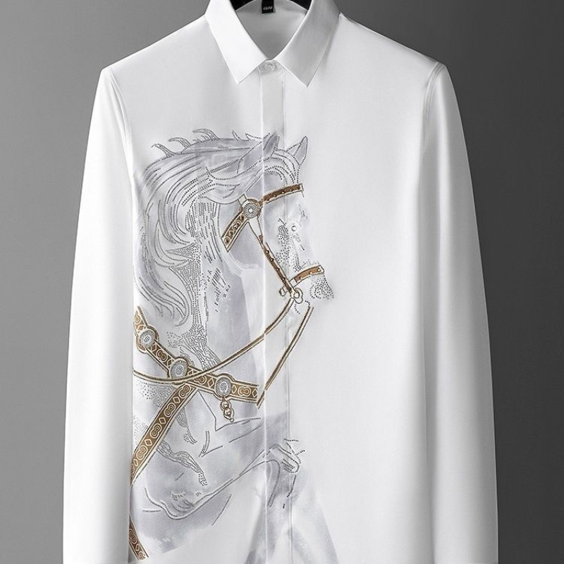 Dress White Shirts for Men Lon - đánh giá và giá Dress Shirt Non-Iron